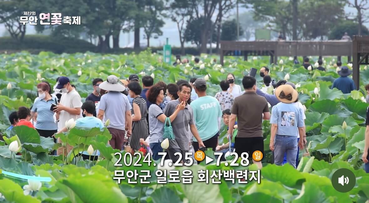 무안 연꽃축제