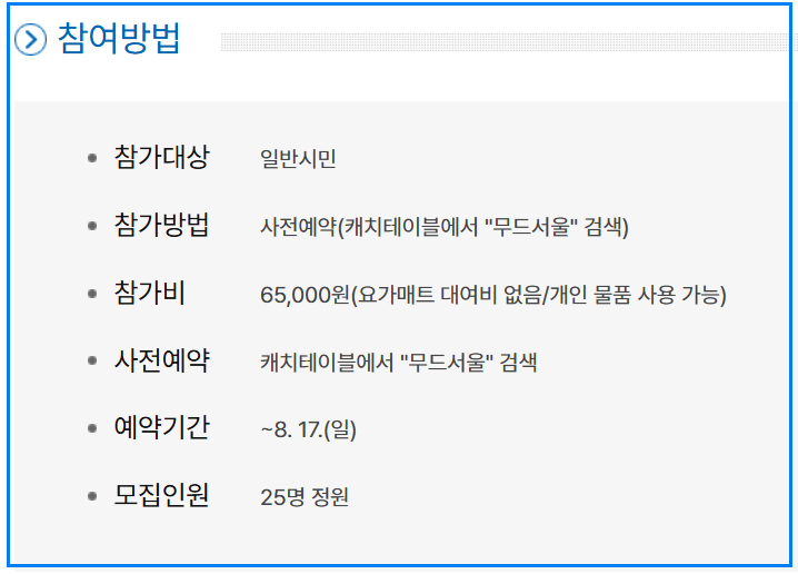 2025 여름 한강페스티벌 총정리