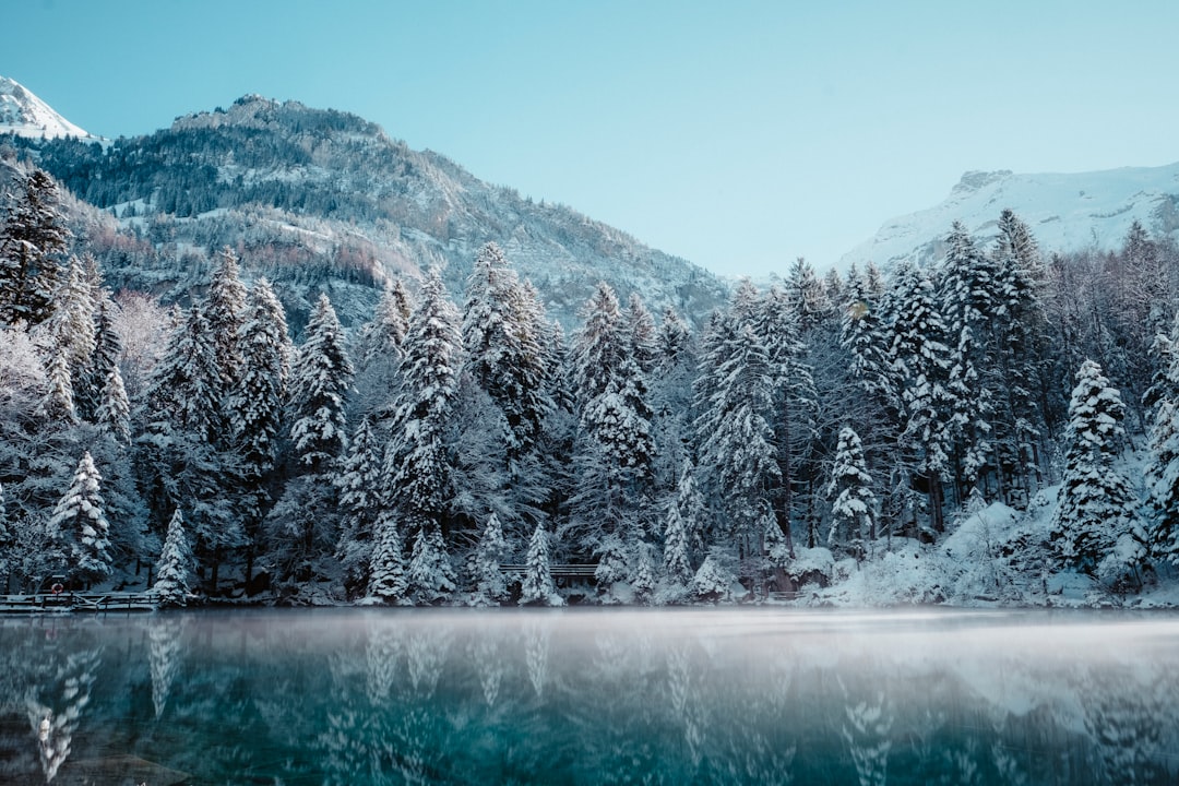 Ice fishing