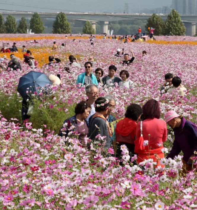 구리시의 이모저모