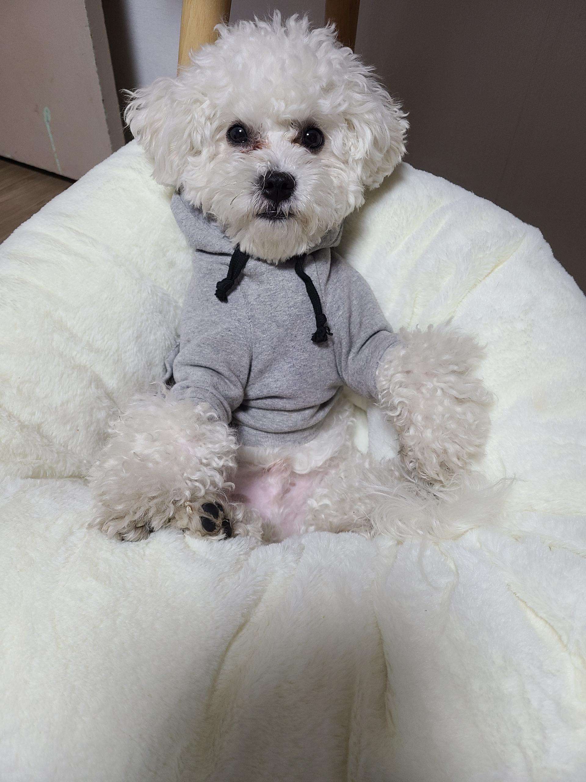 퐁당쿠션