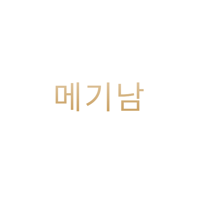메기남