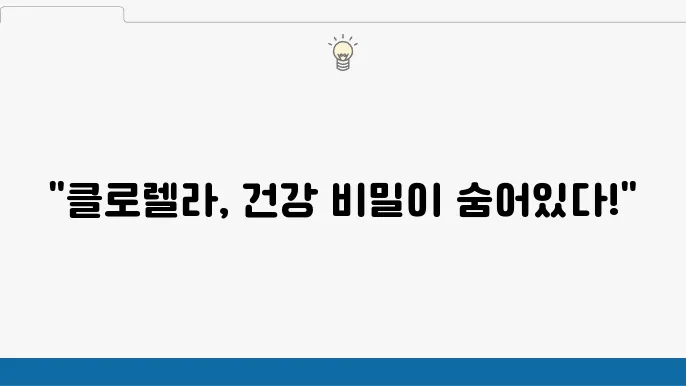 클로렐라의 효능 적용 스피루리나와 차이점 알아보기