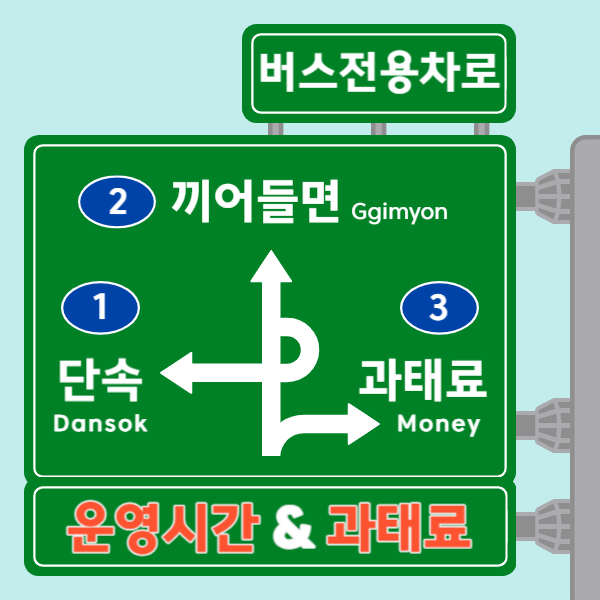 버스전용차로 벌금, 시간, 기준, 카니발 가능 여부