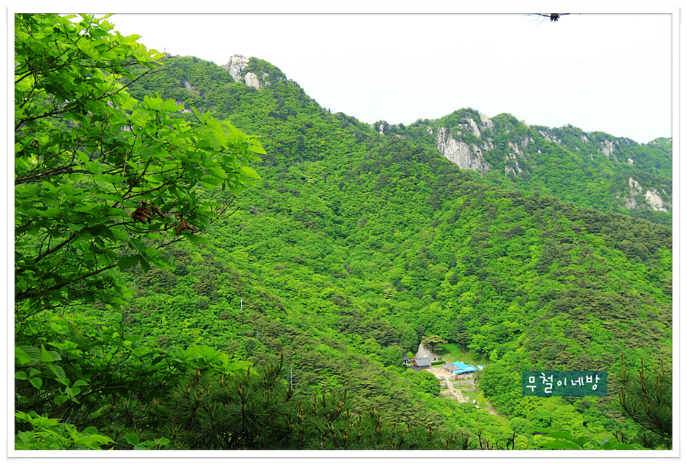 팔공산