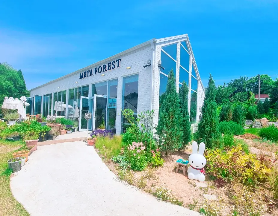 인천 카페 추천, 강화 메타포레스트: 숲 속 캠핑 감성, 가는 길 주의사항, 주차장