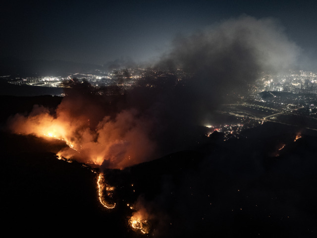 대구 함지산 산불 현황 대응 조치 및 피해 상황