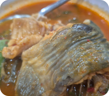 한우물의 법칙 16년전통 메기매운탕 세종 맛집