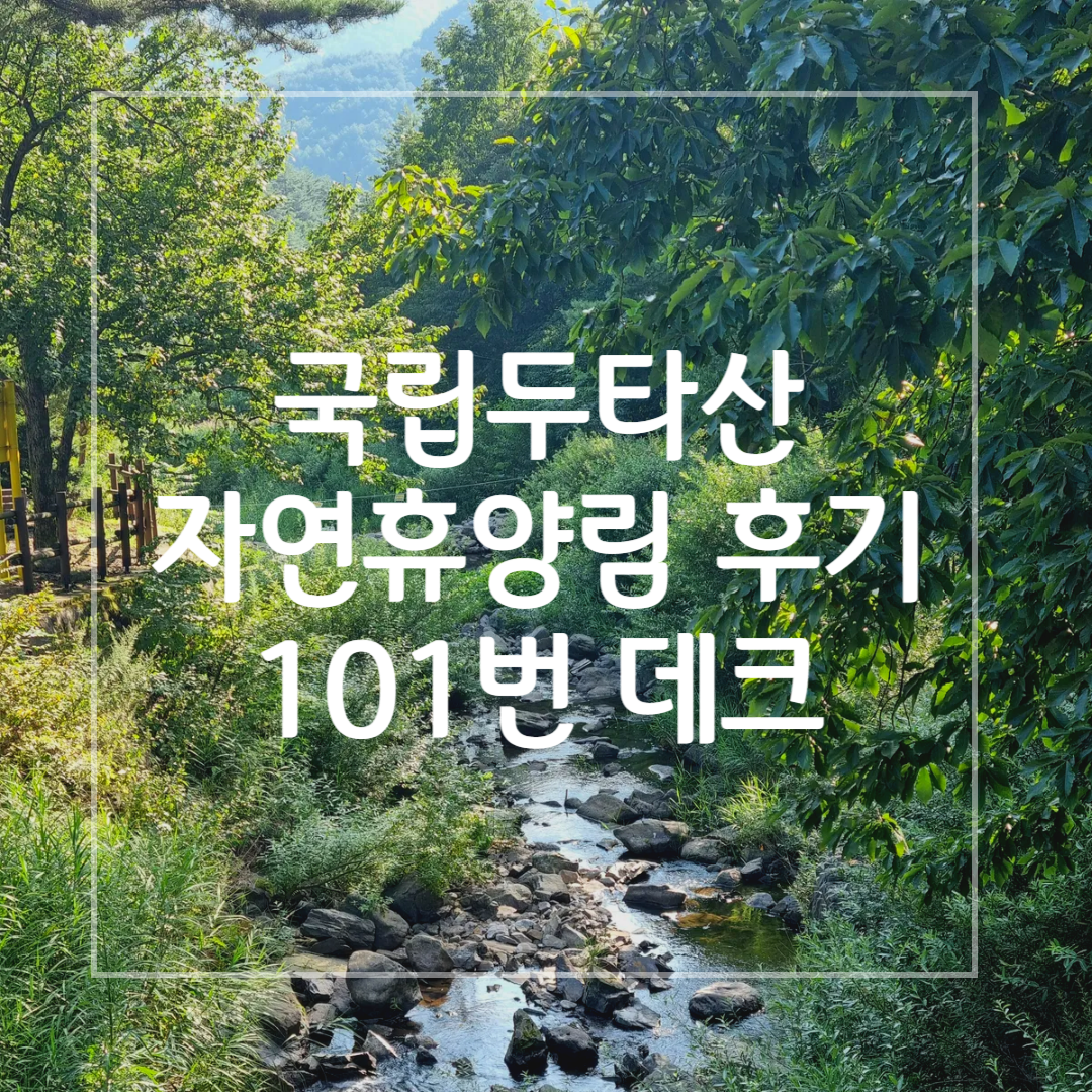 두타산 자연휴양림 후기 썸네일