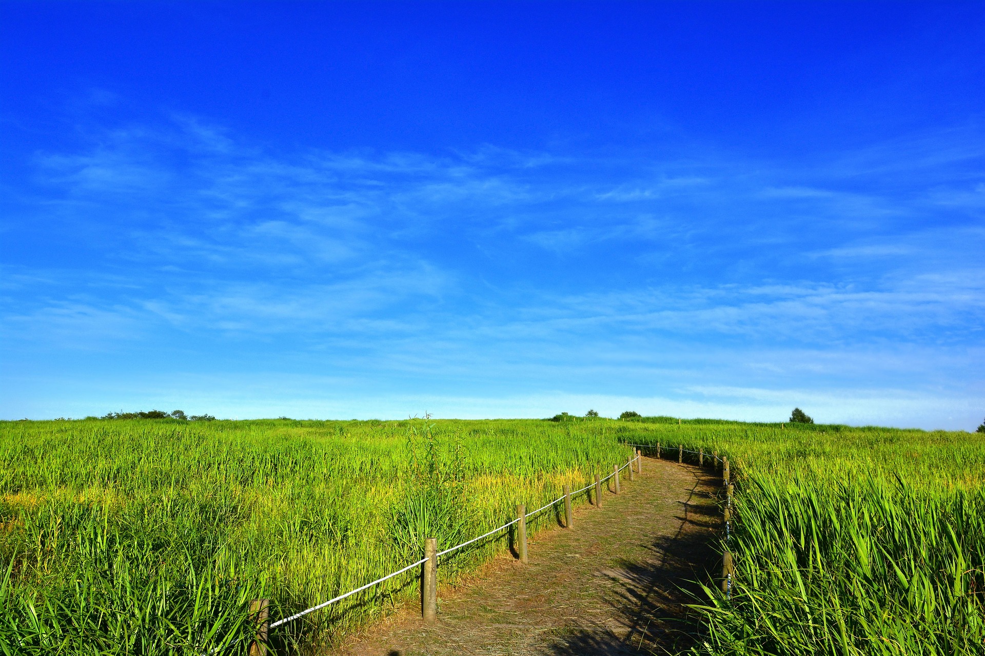 하늘공원 산책길