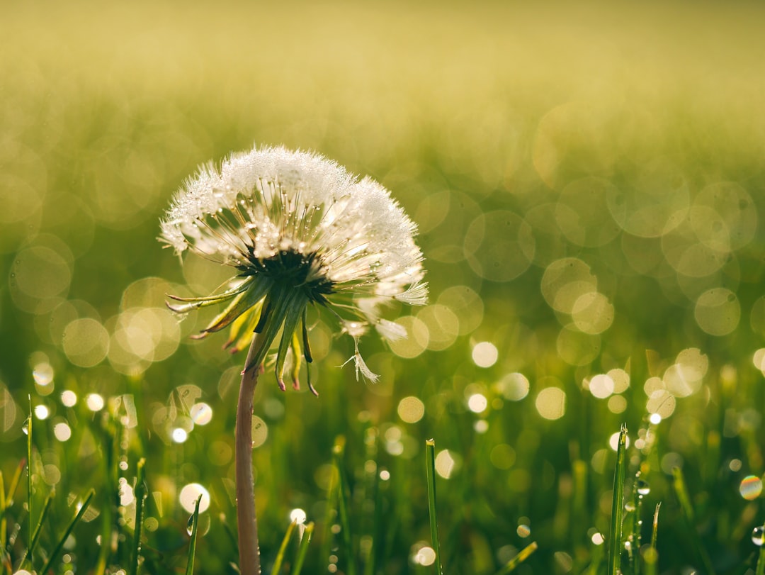 Hope