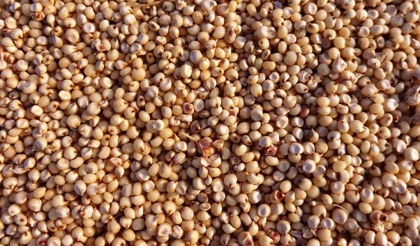 장트러블, 과민성대장증후군에 좋은 음식, 배변에 도움이 되는 장에 좋은 운동