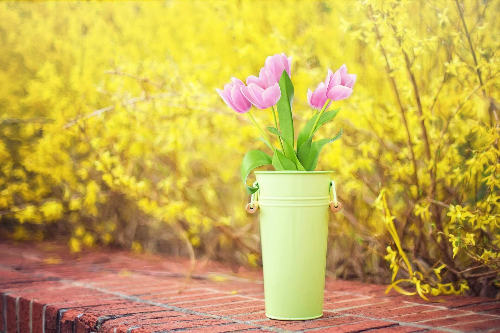 벚꽃 개화시기 2023&amp;#44; 벚꽃 명소 확인