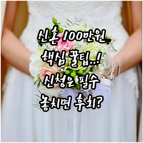 서울시 신혼부부 100만원 지원: 요..