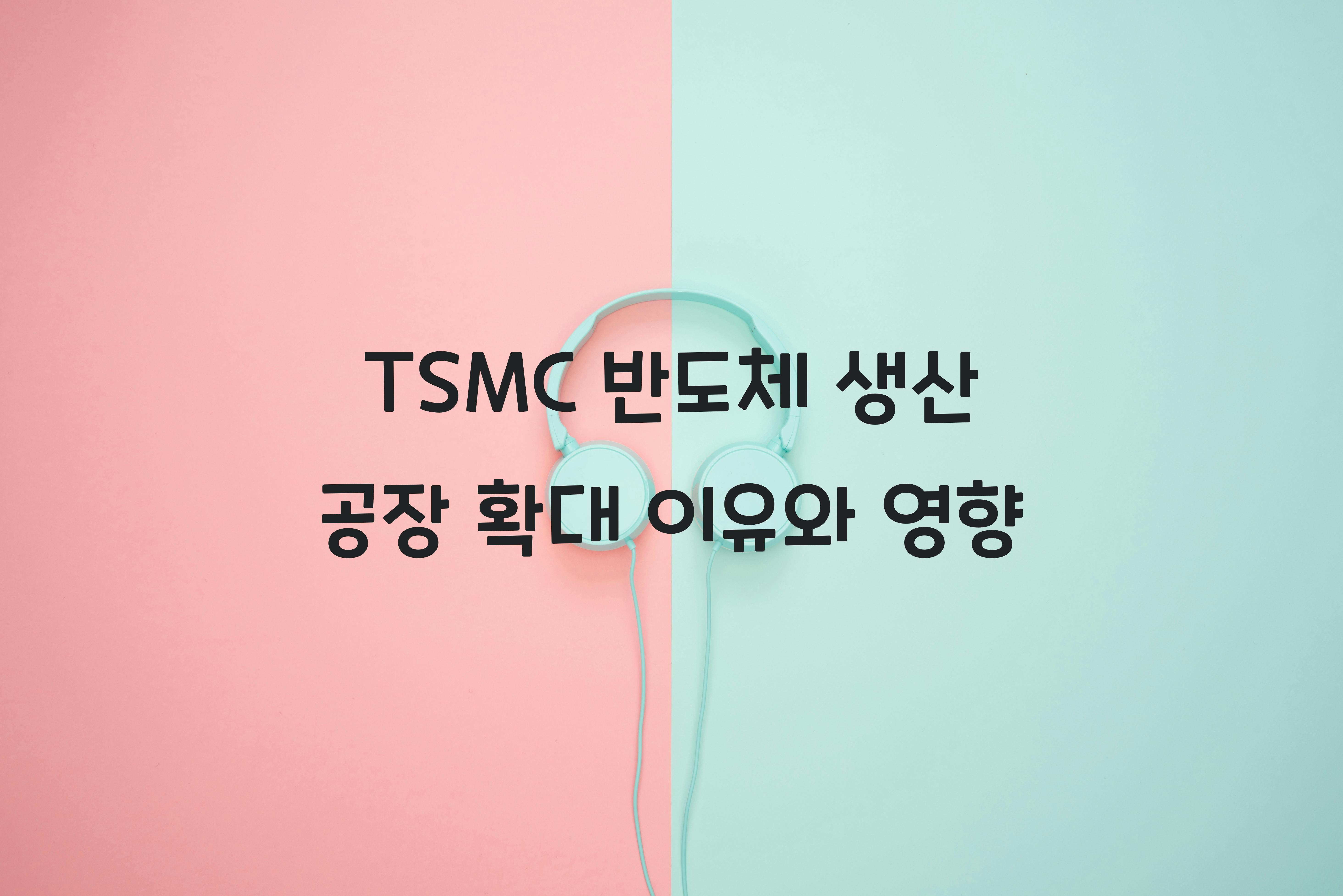 TSMC 반도체 생산 공장 확대