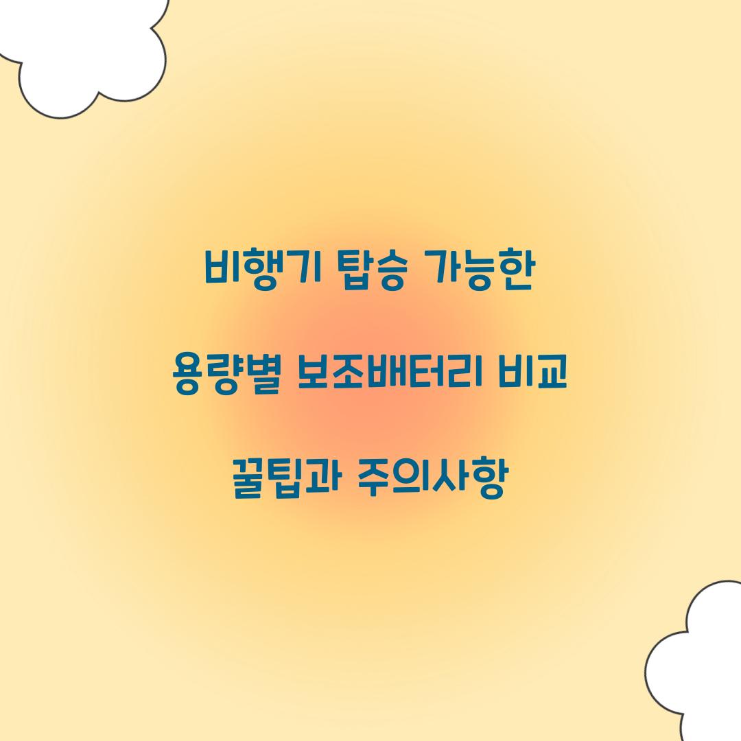 비행기 탑승 가능한 용량별 보조배터리 비교