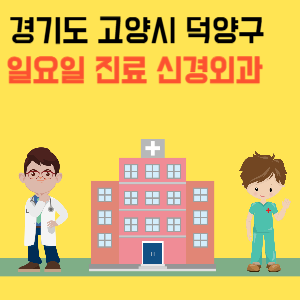 경기도 고양시 덕양구 일요일 신경외과 진료 병원 리스트