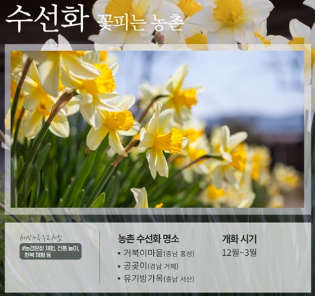 봄꽃 벚꽃개화시기