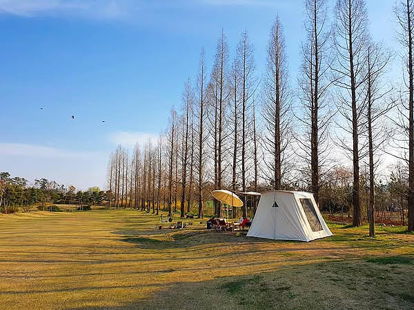서산 잔디캠핑장 '삼원레저타운' 소개