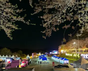 대청호 벚꽃축제_11