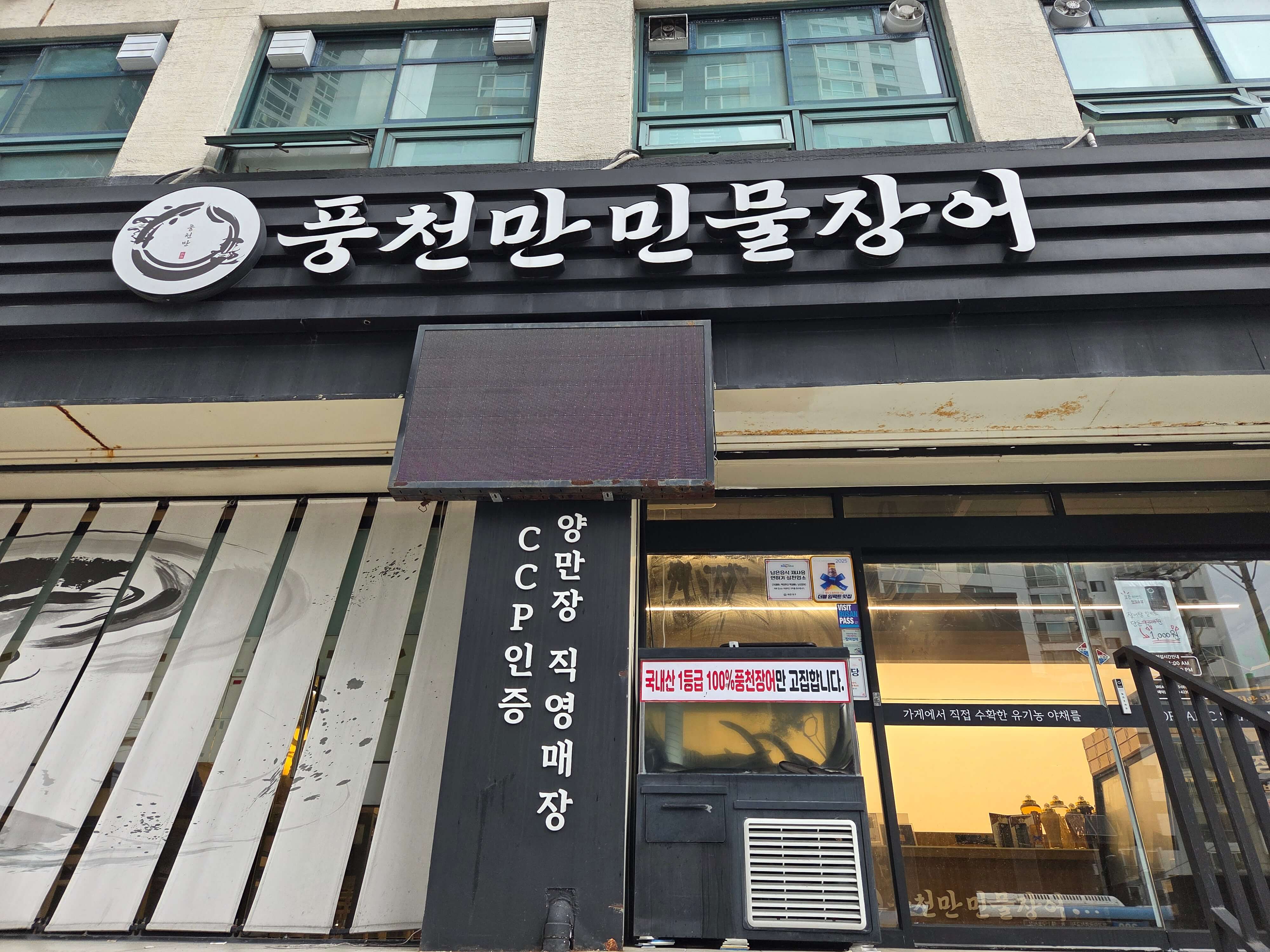 풍천만 민물장어