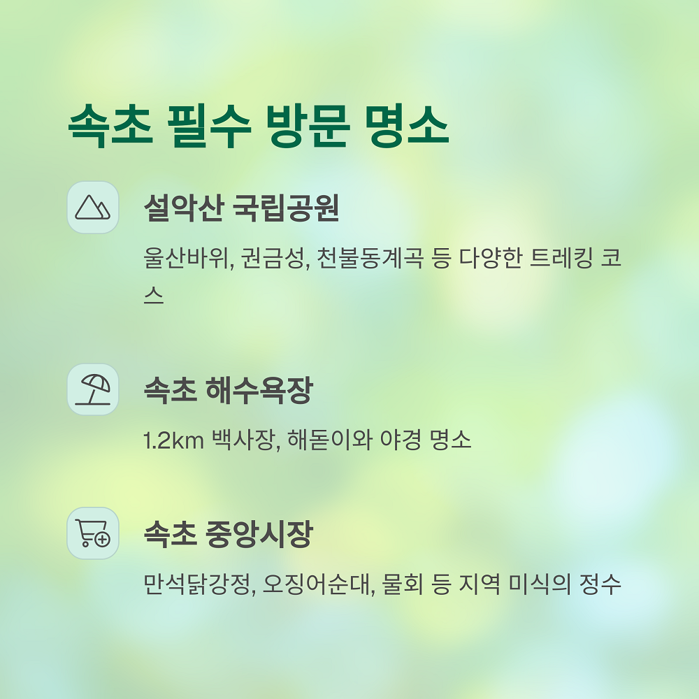 텍스트 이미지