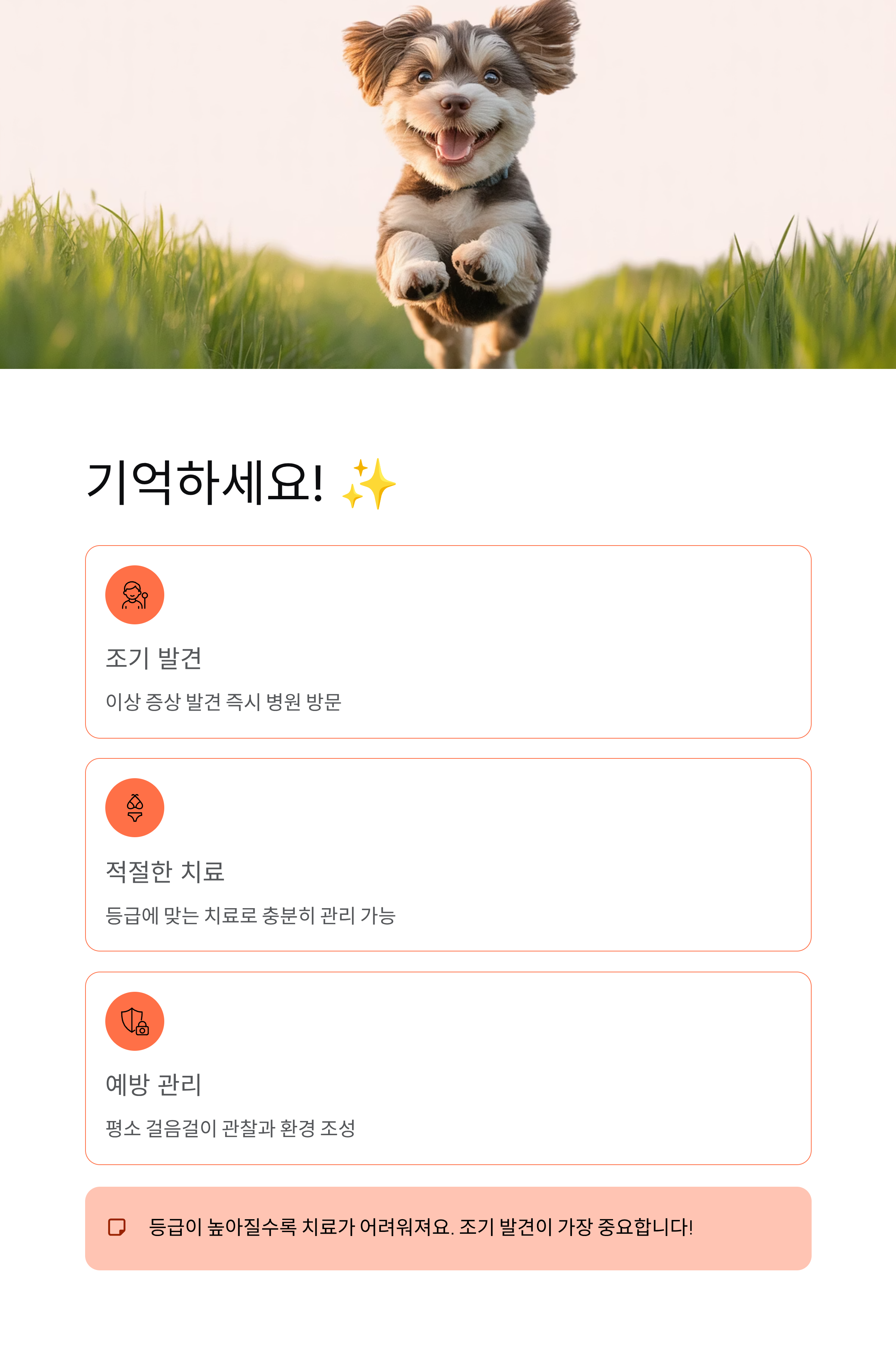 강아지 슬개골탈구 - 증상과 치료법, 우리 아이 다리 절뚝거린다면? 🐕