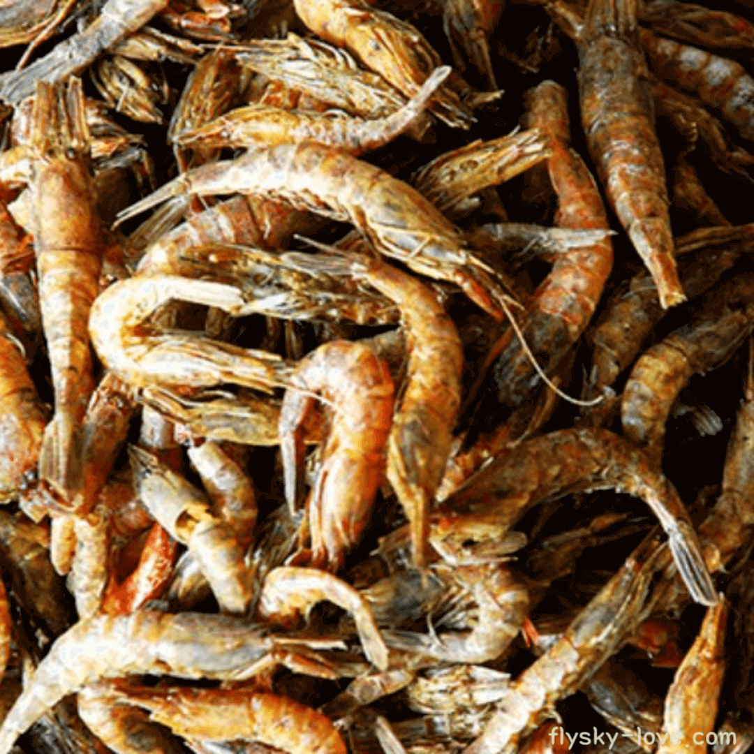 보리새우 고르는 법