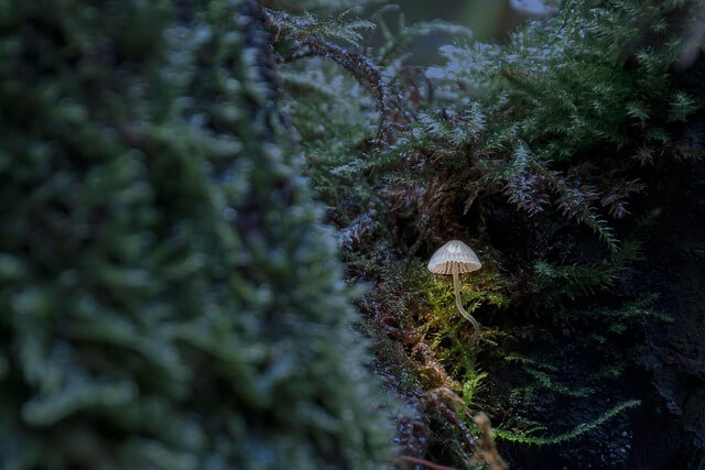 24시간 약국 조회 - 지역별&amp;#44; 전국 검색 (전국 응급실&amp;#44; 심야 어린이병원 검색) 