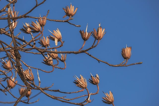 2월 날씨 볼 수 있는 사진