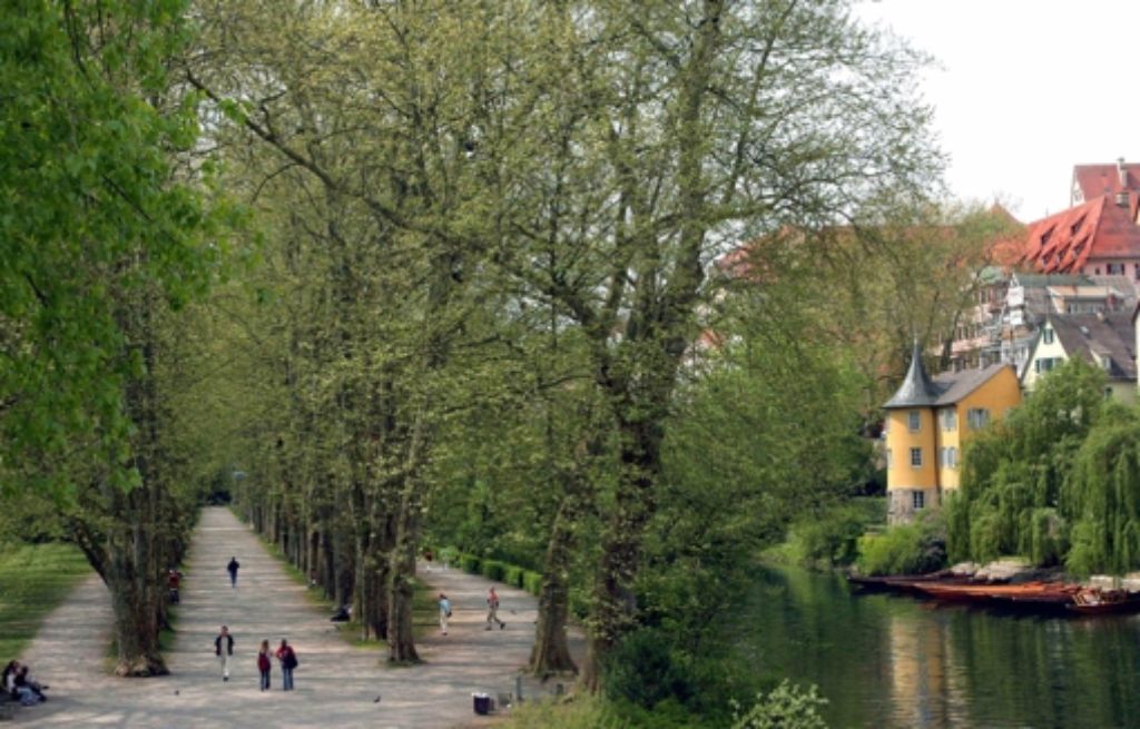 네카어 강(Neckar) 뱃놀이 &amp; 플라타넨알레(Platanenallee)