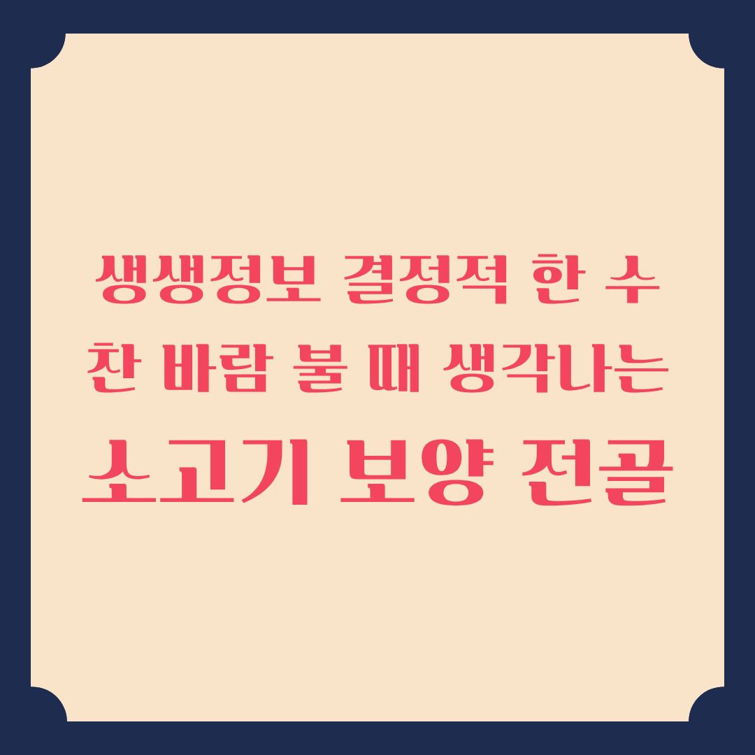 생생정보 결정적 한 수 찬 바람 불 때 생각나는 소고기 보양 전골 정보