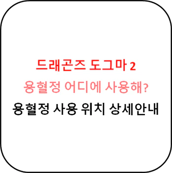 드래곤즈_도그마_2_용혈정_사용위치_상세안내_섬네일