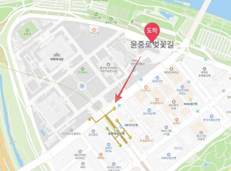 여의도 벚꽃축제 가는길