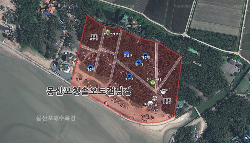 청솔 오토캠핑장 배치도