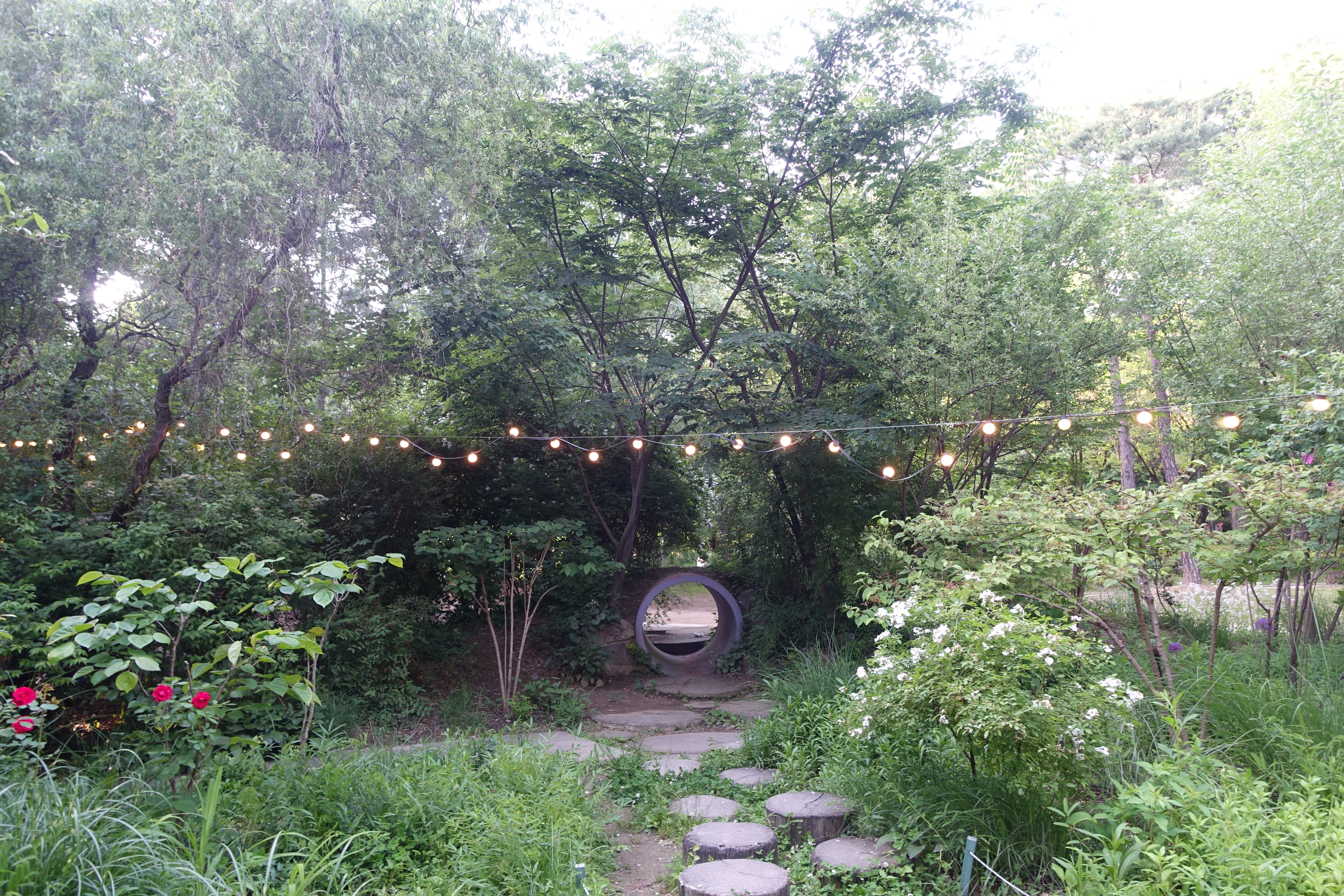 Alt 속성 문제 해결 설명 이미지