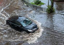 중고차 매매 사이트