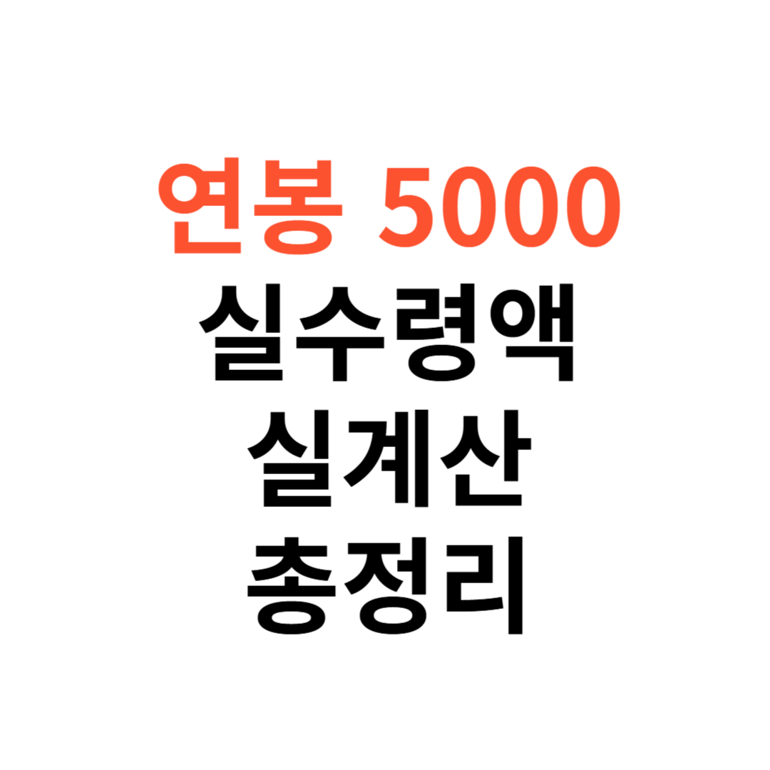 연봉 5000 실수령액