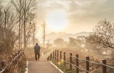 안정된 노후를 위한 사회 안전망 노인&middot;고령자 지원금