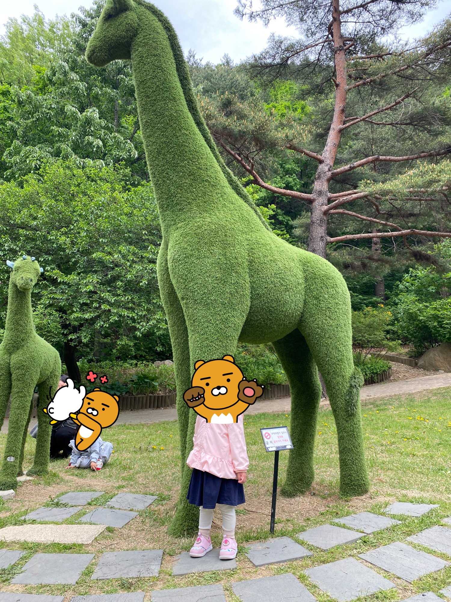 강릉솔향수목원 잔디광장 기린