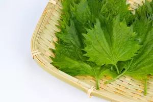 위염에 좋은 음식