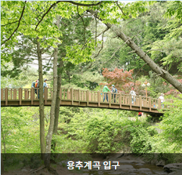 일림산 철쭉 축제 개화상황