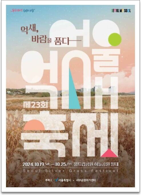 억새 축제