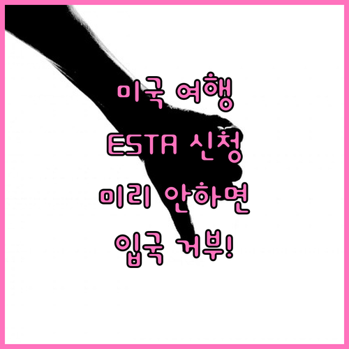 미국 여행 ESTA, 미리 신청 안 ..