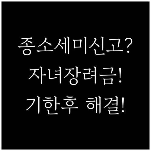 종합소득세 미신고 자녀장려금 대처법 ..