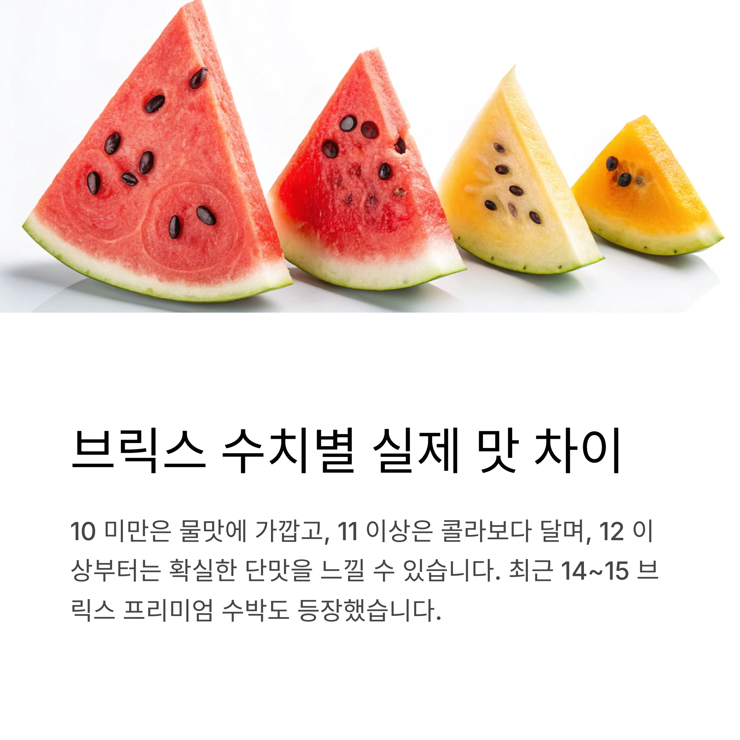 브릭스 수치별 실제 맛 차이