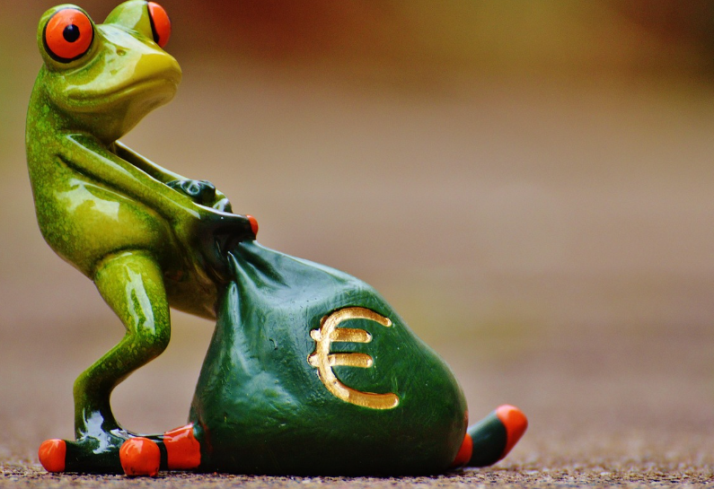 돈들고가는 개구리 이미지