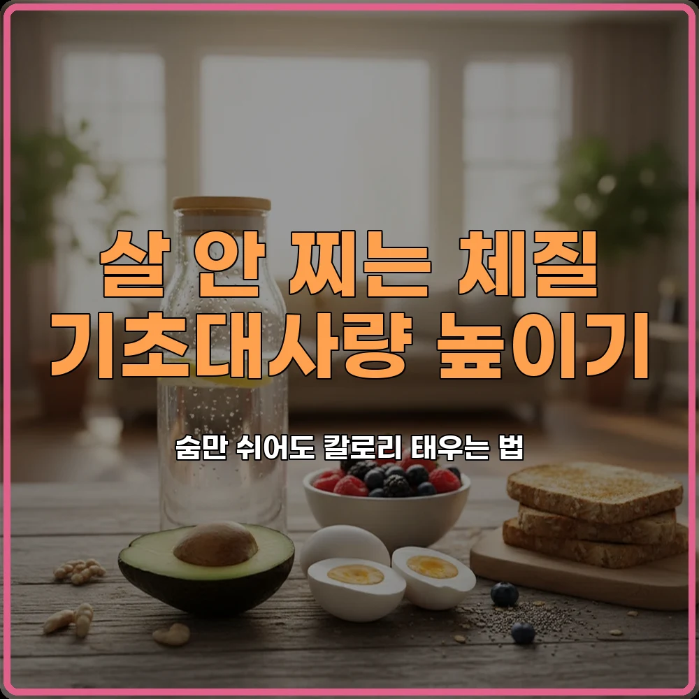 다이어트습관
