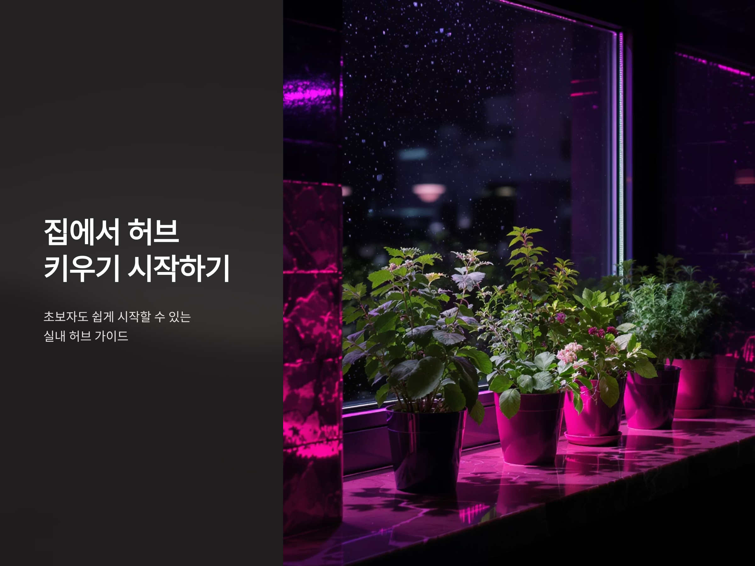 허브 키우기 시작를 위한 총정리