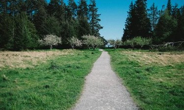 위식도 역류 질환, 식사 후 ‘이것’ 조심 뉴스에도 나왔던 알찬 정보 알아보기